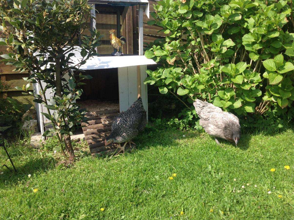 Bed and Breakfast Le Jardin Des Poules Thiétreville Exterior foto